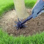 Adjustable Rotary Garden Tiller - Black - View 5